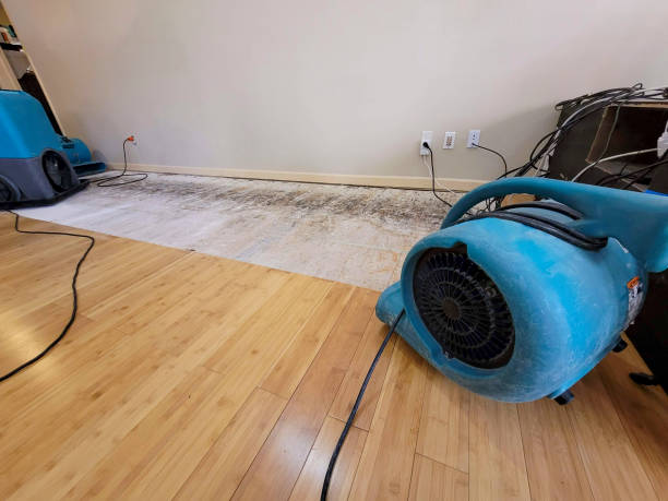 Professional Flood Damage Cleanup technician working in Franklin Grove, IL